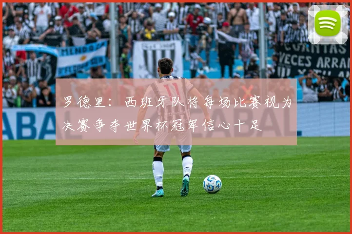 罗德里：西班牙队将每场比赛视为决赛争夺世界杯冠军信心十足