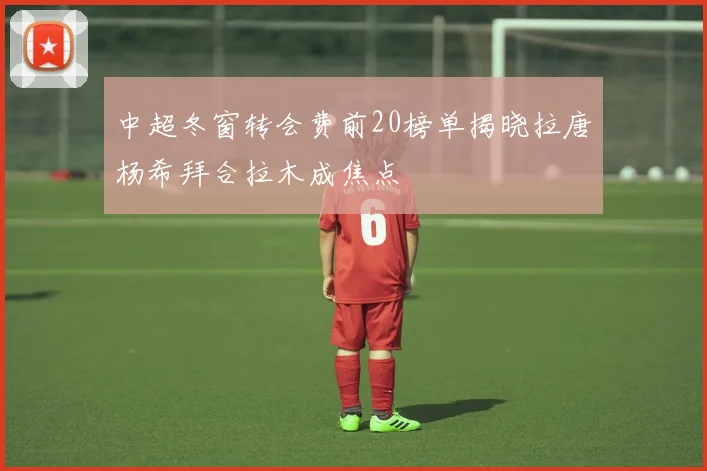 中超冬窗转会费前20榜单揭晓拉唐杨希拜合拉木成焦点