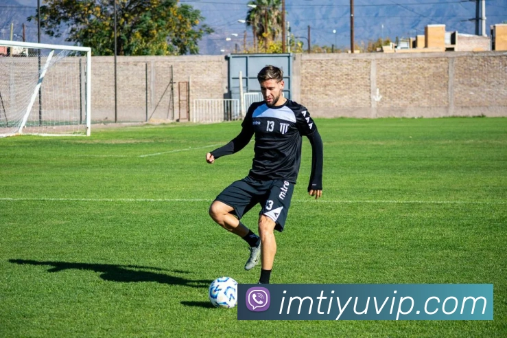 IM体育发展历程