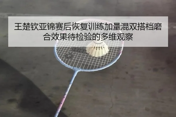 王楚钦亚锦赛后恢复训练加量混双搭档磨合效果待检验的多维观察 - IMSPORTS